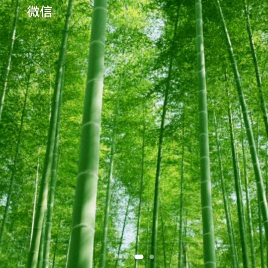 紫涵助力（下午2点-3点）
