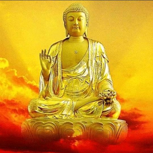 阿弥陀佛🙏🙏🙏🐯🐯🐯🐯