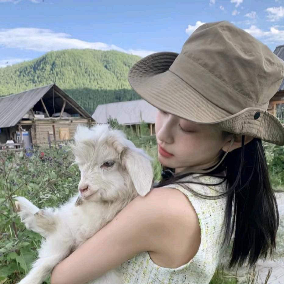 一羊🐏