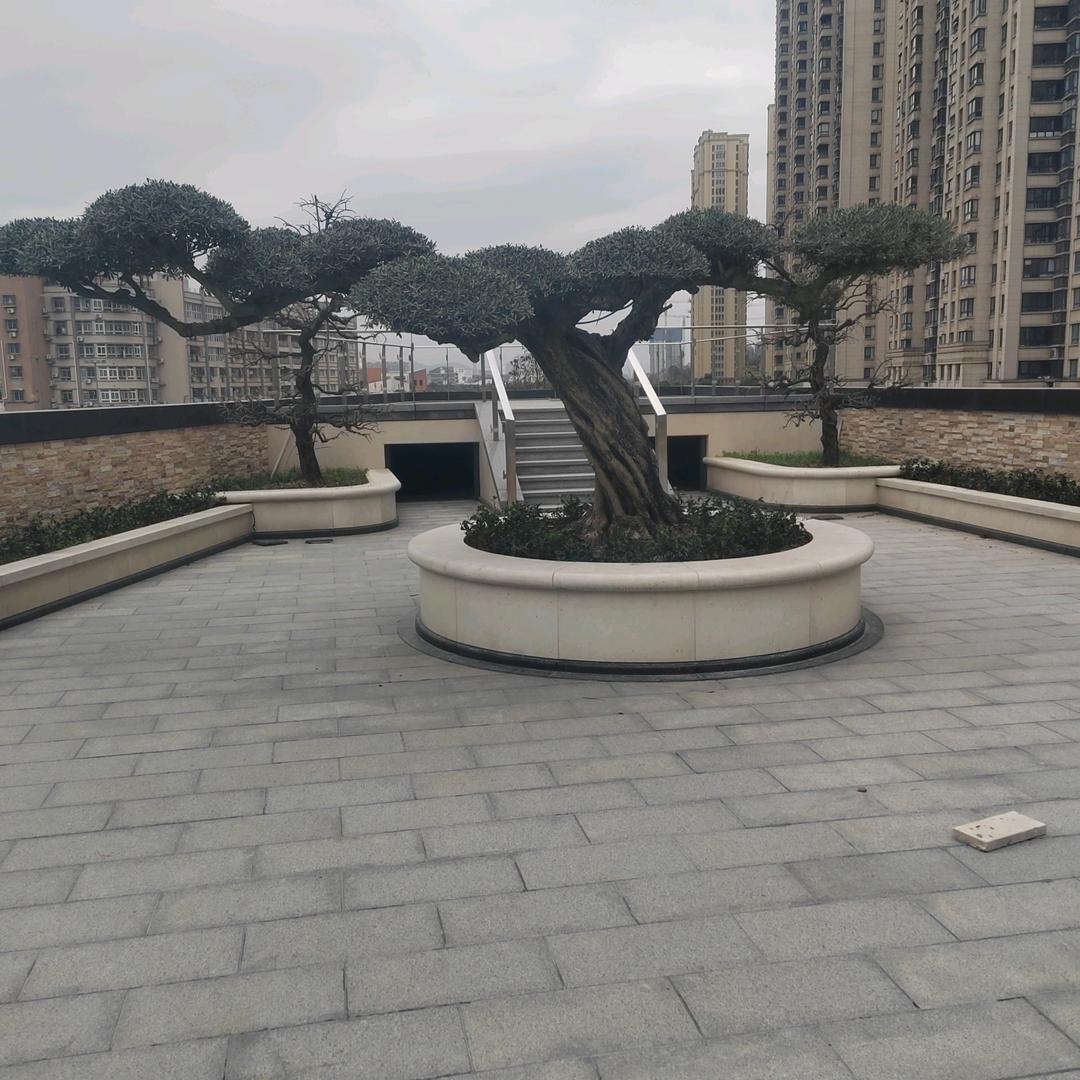 🌹🌹好人一生平安🌹🌹