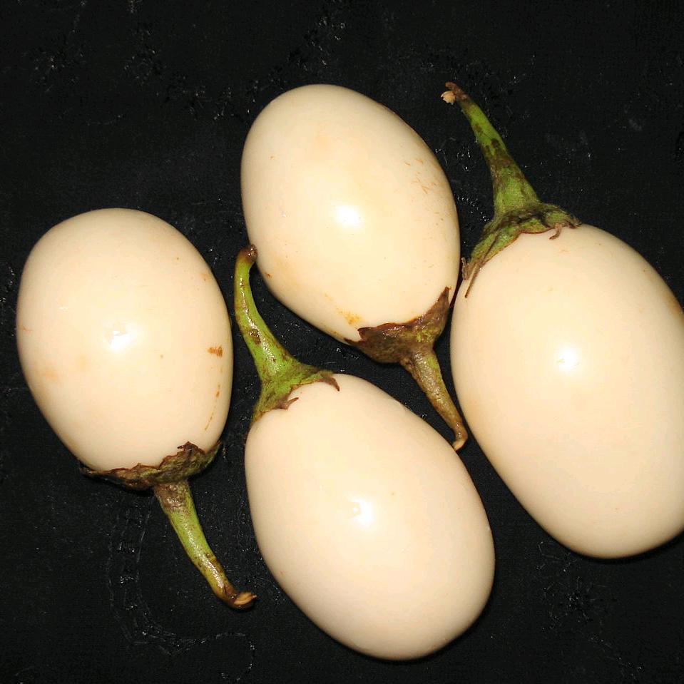 装修（自装/包轻工）