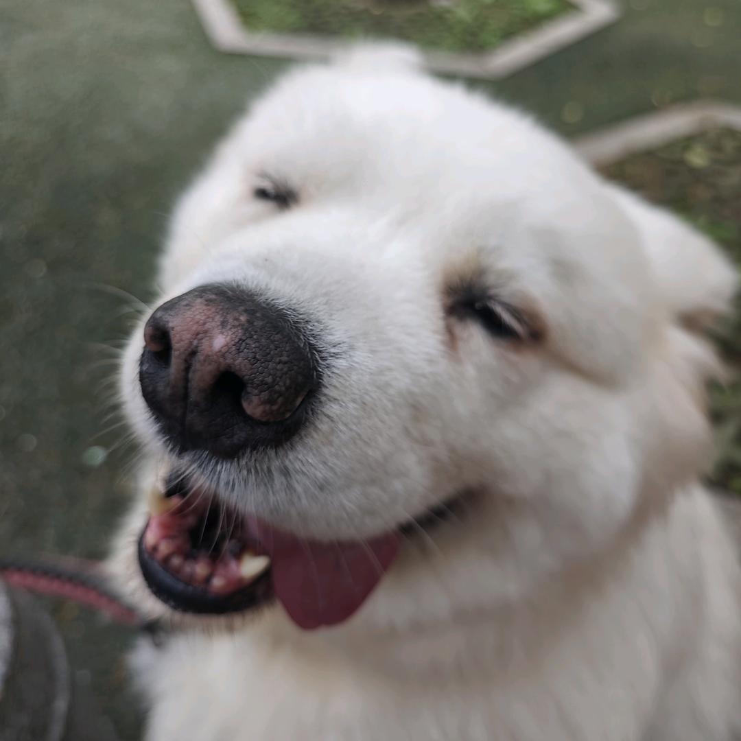 小数点