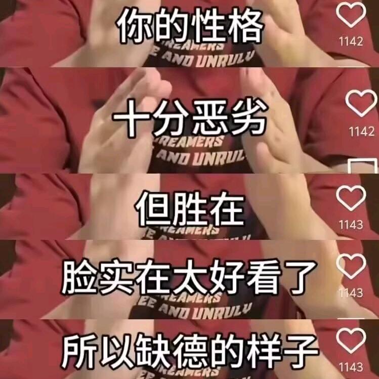 猫猫狗狗