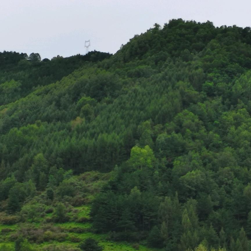 平平淡淡