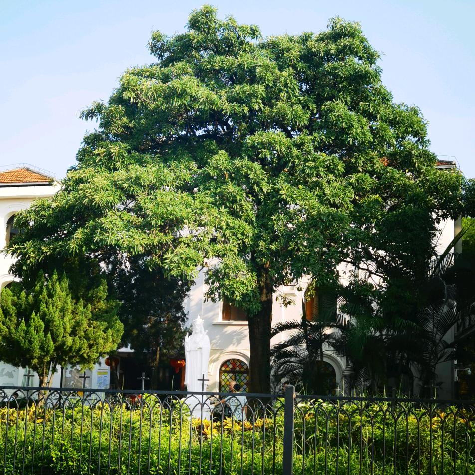 你好吗？陌生人……