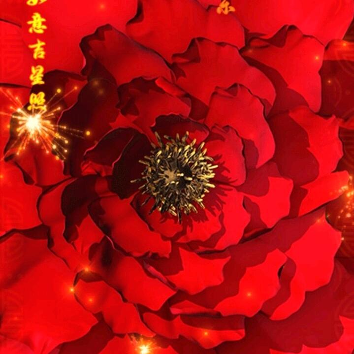 开心