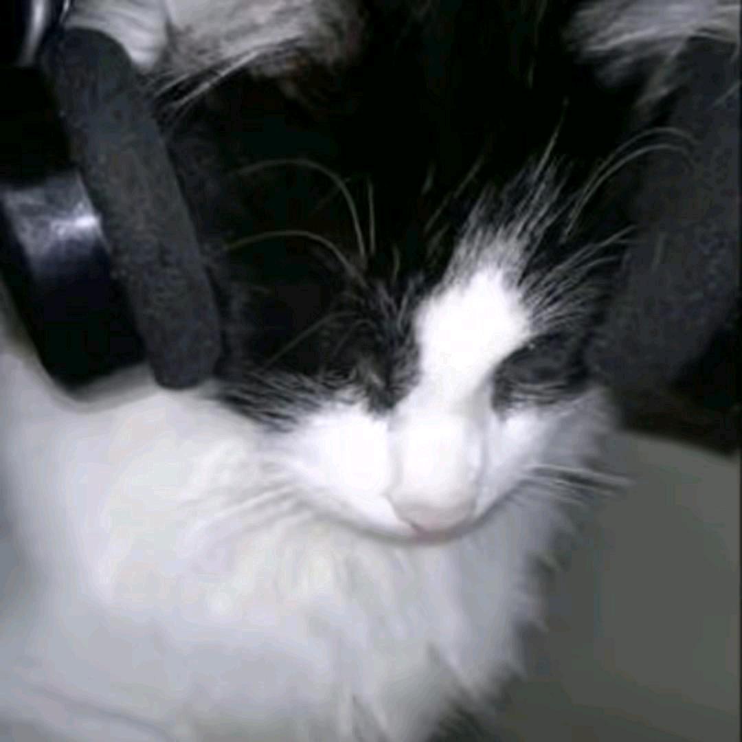 可燃冰🧊