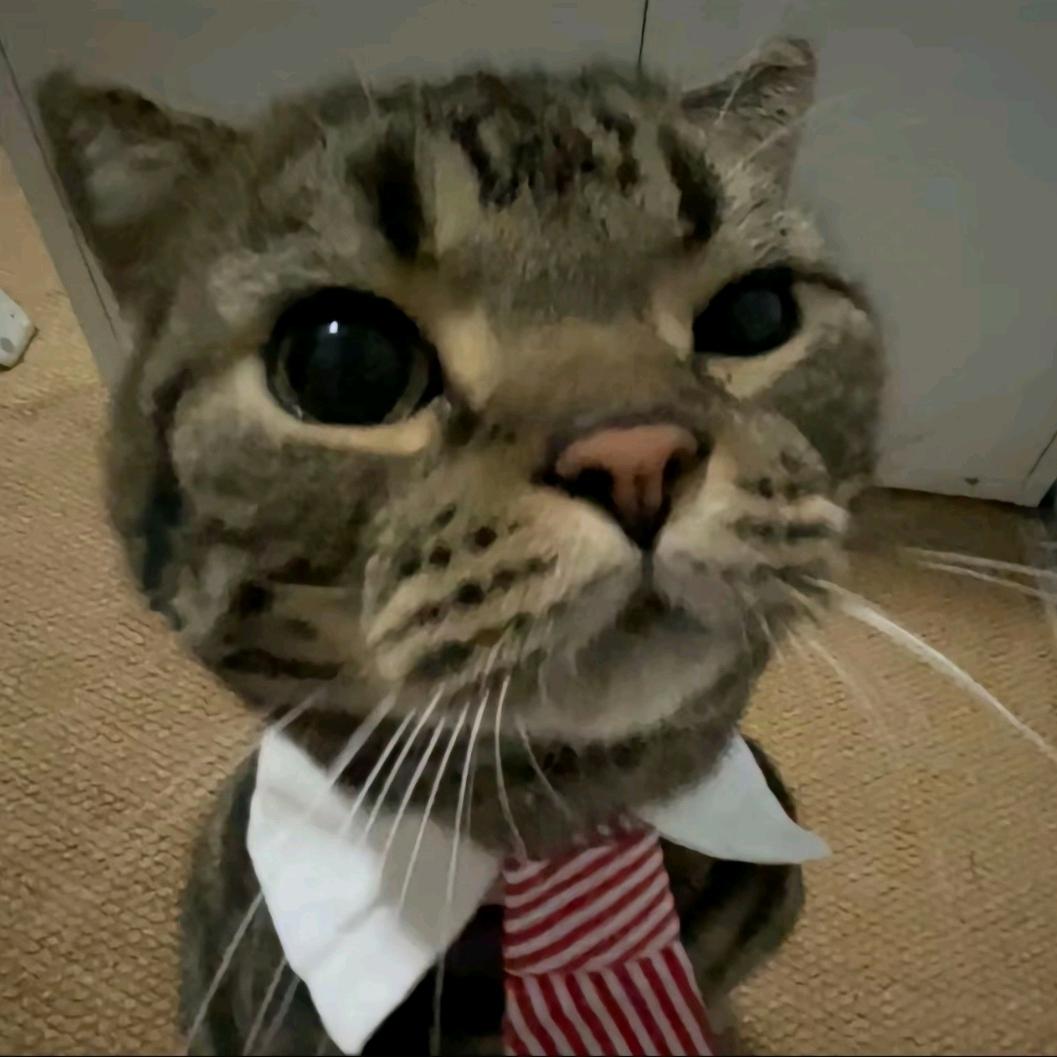 好烦啊我不想再看了