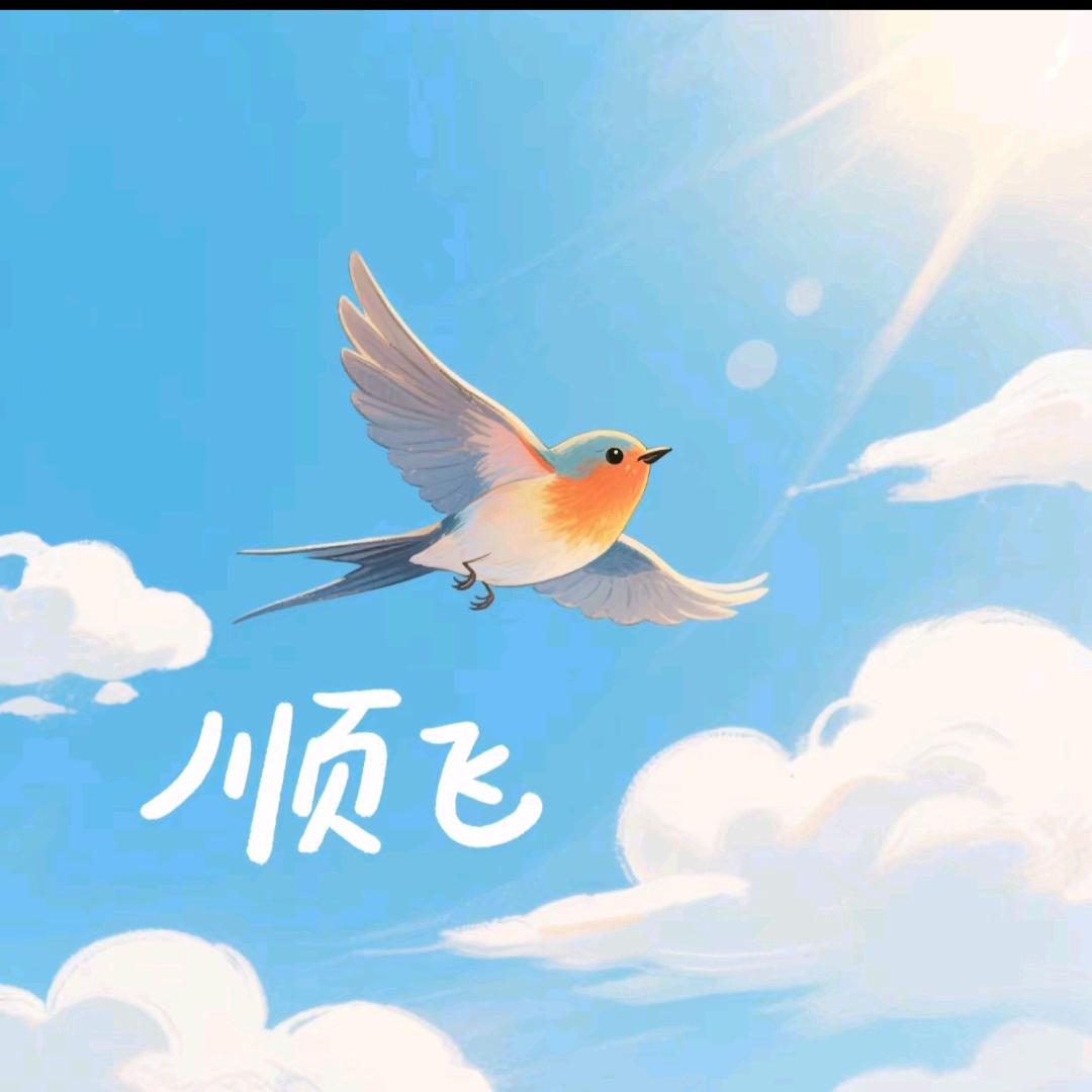 顺飞爱音乐