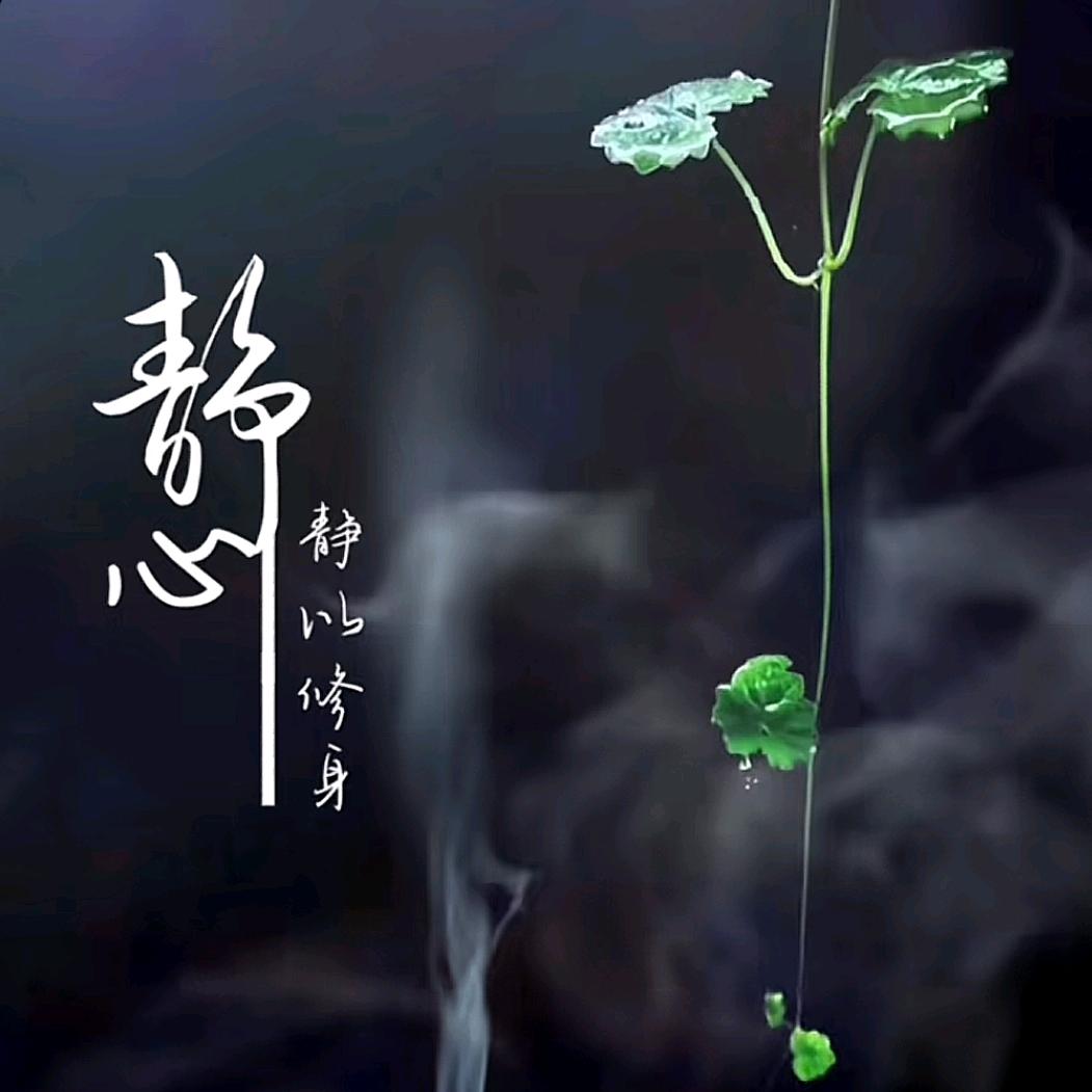 听听