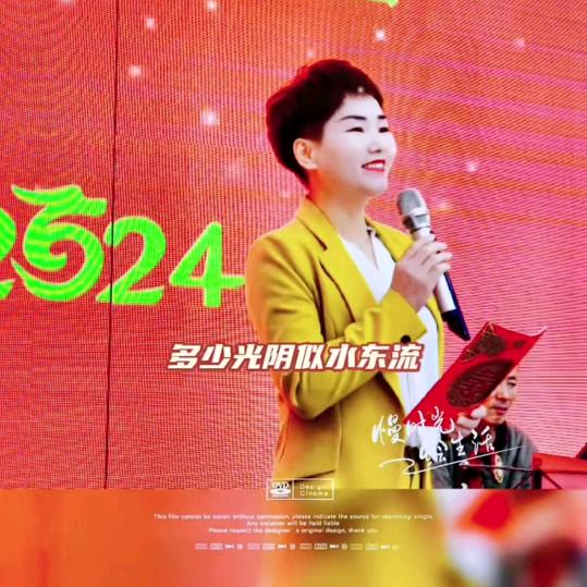 丽飞组合