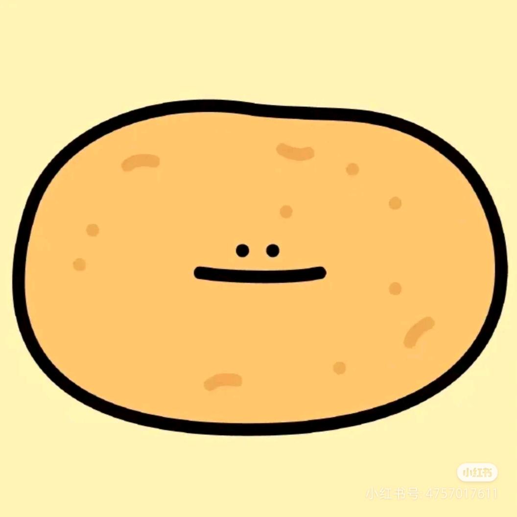 橙子树上的阳光¹²²¹☀