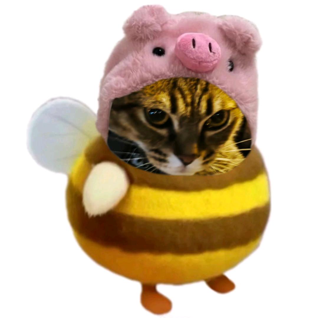 鼻嘎拌香菜馋哭隔壁老太太