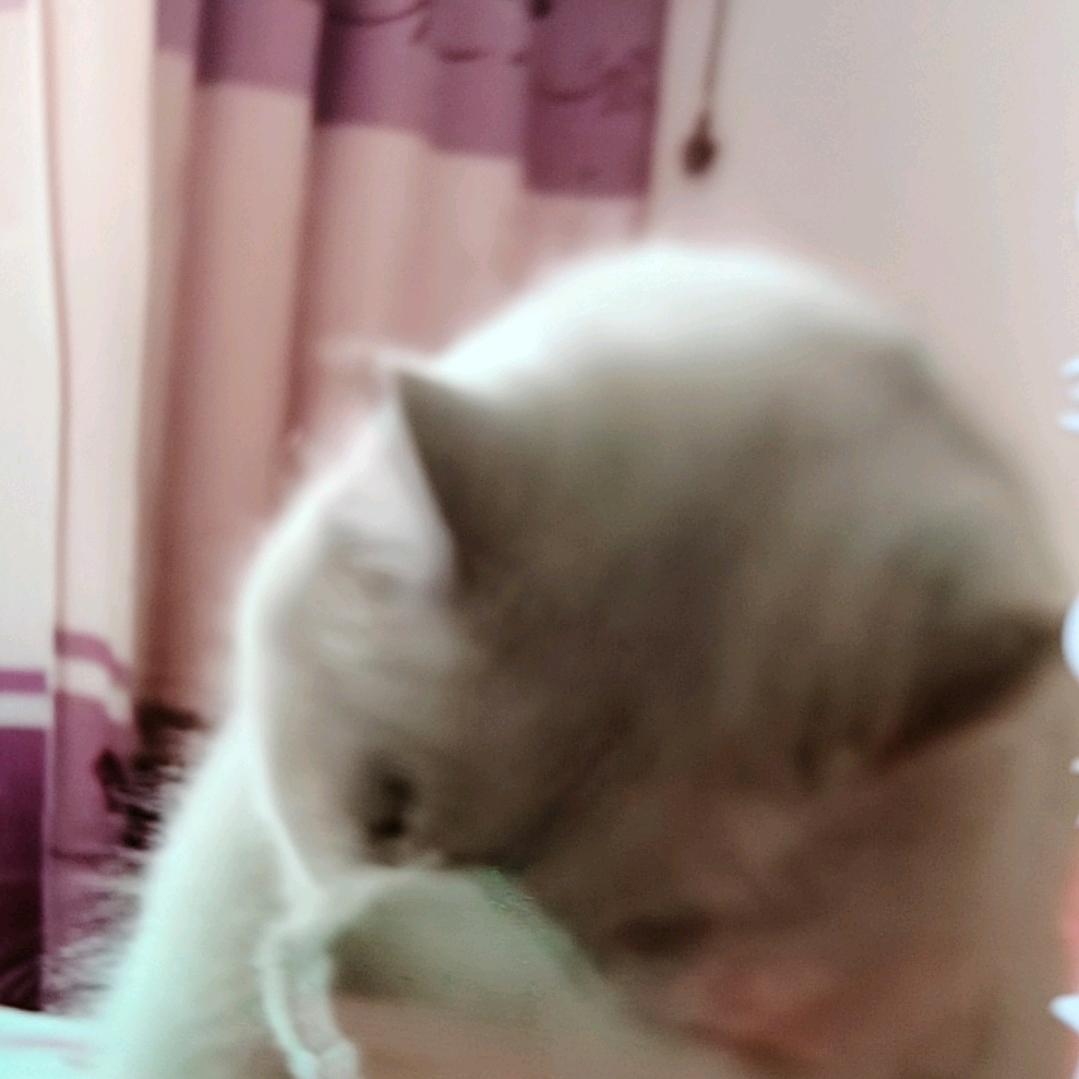 用户
