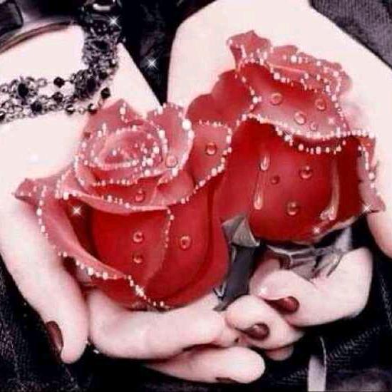 阳光明媚💃💃