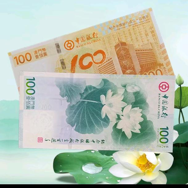 小白