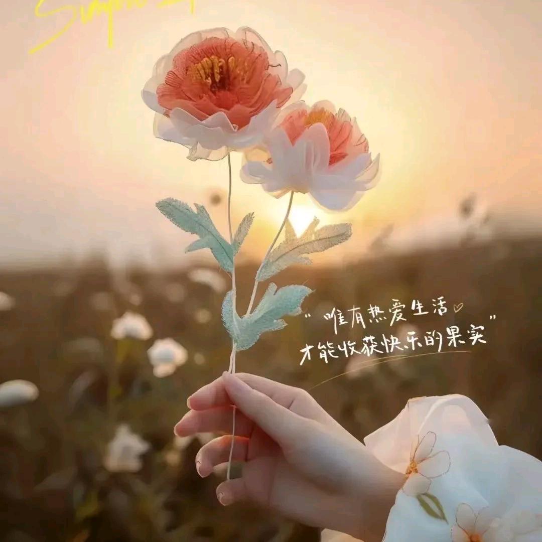 轩宸……用户43354751