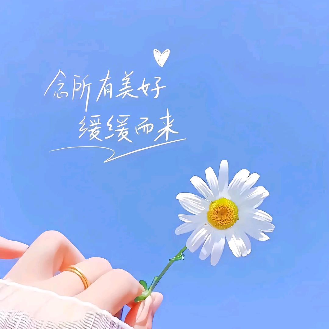 奥特梦之光