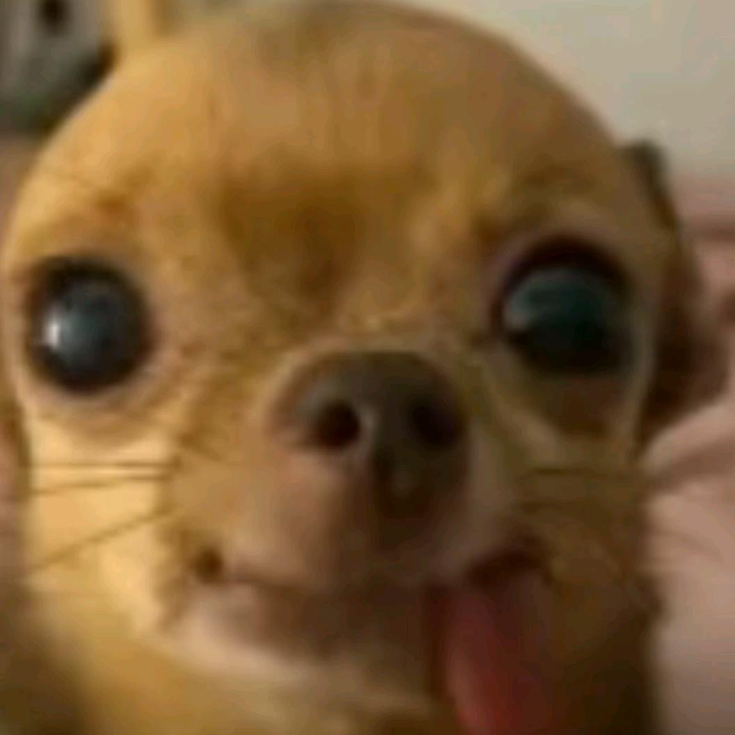ggboy