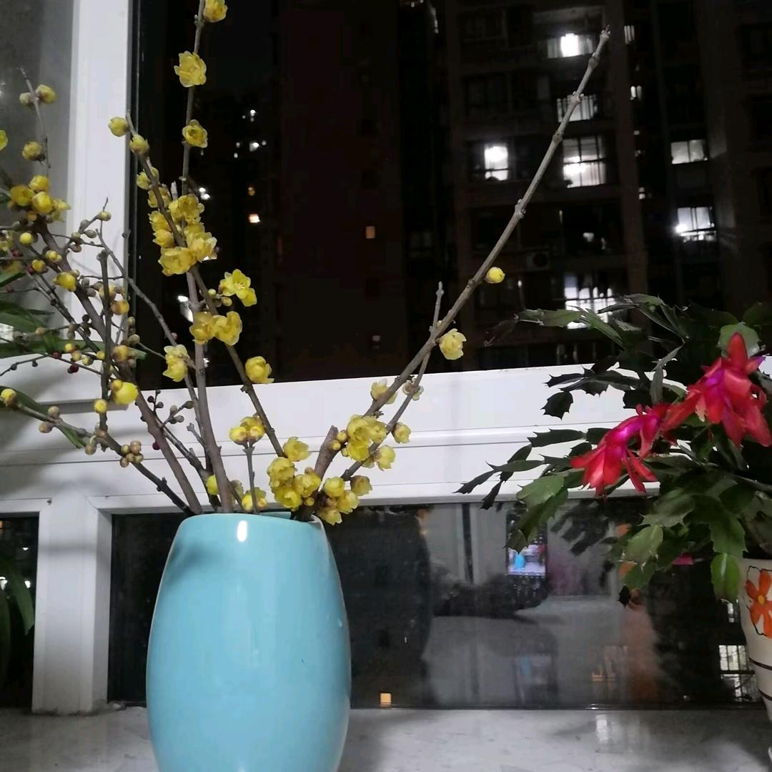 陈心橙意