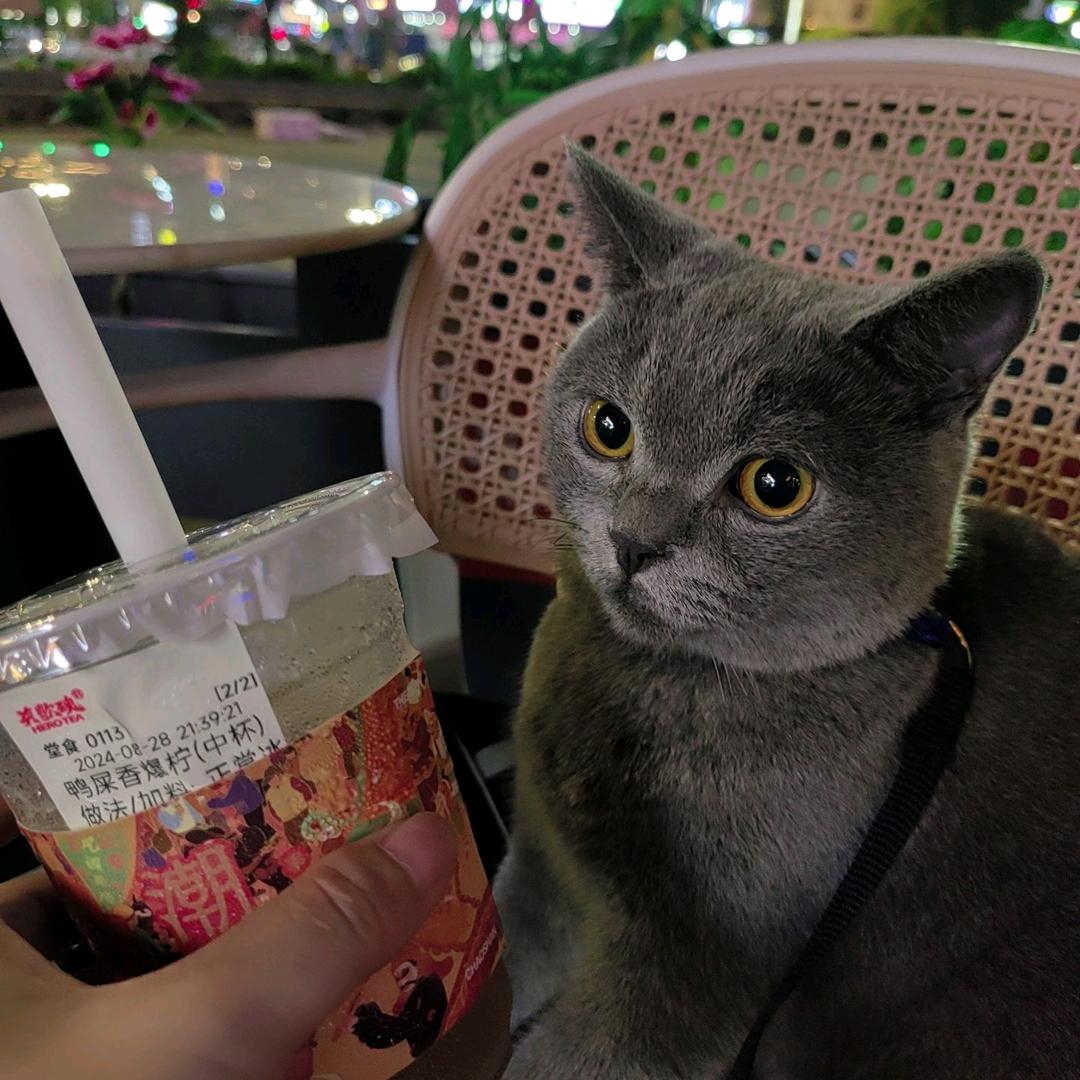 毛衣抓毛.特种绣