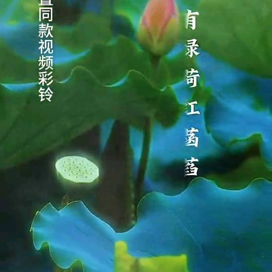 一心一意