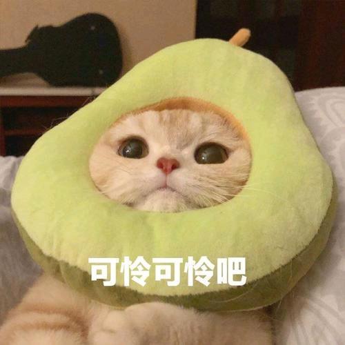 拾—