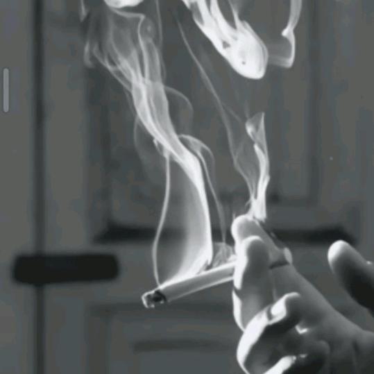 自渡♬一念执着，万般无奈，