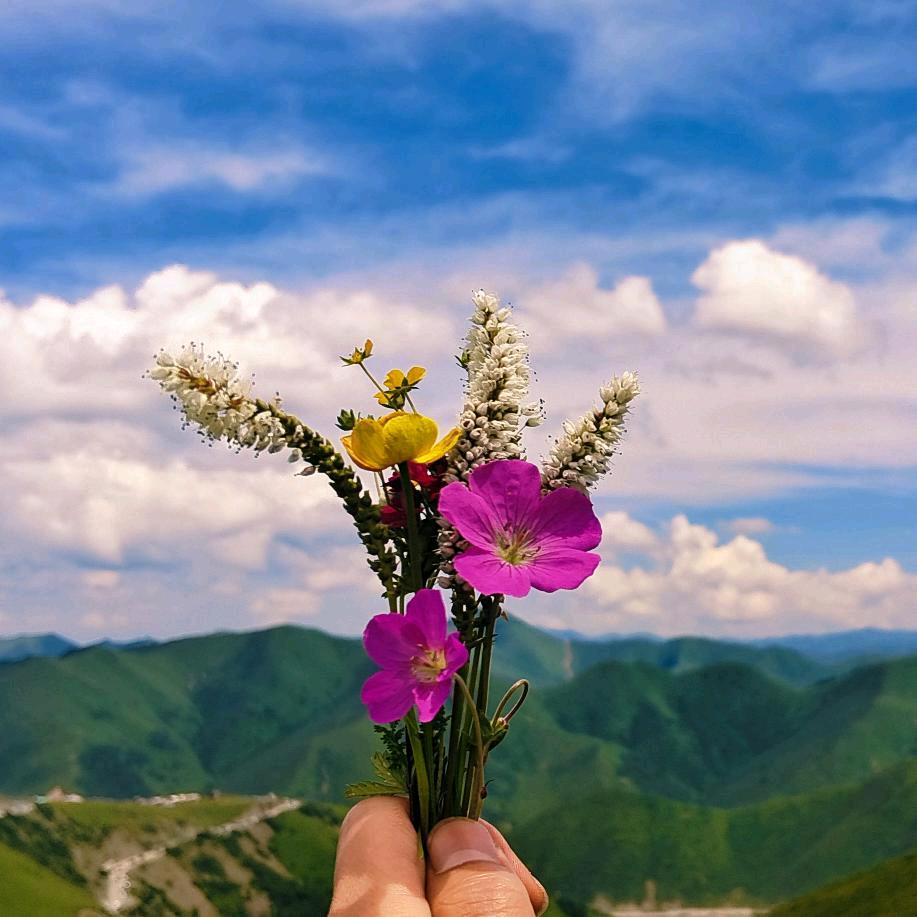 🍀🌿(˵¯͒〰¯͒˵)🌿🍀