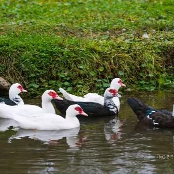 雨春精品市集