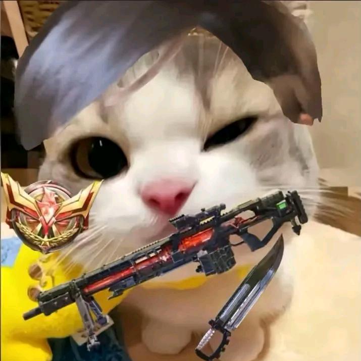 @熊家第二人<牛牛审判官><粉丝>