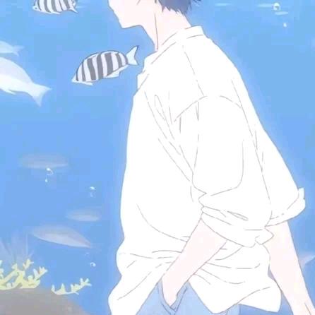 沉星