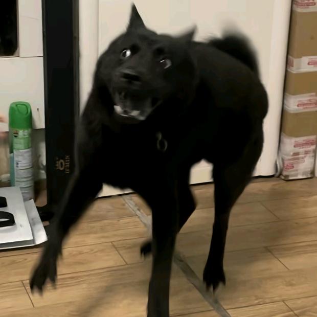 磨洋工带师长亭