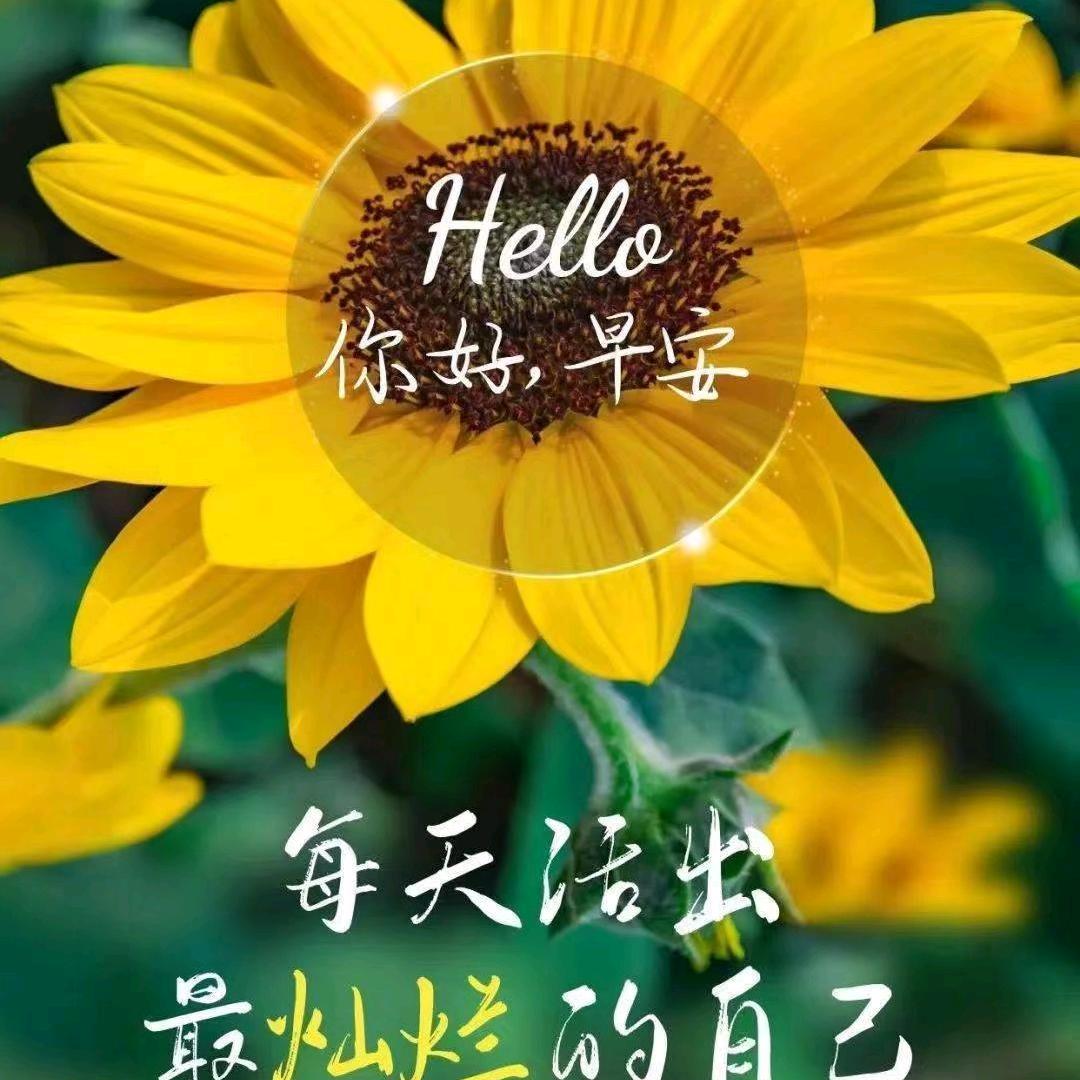 开心就好啦