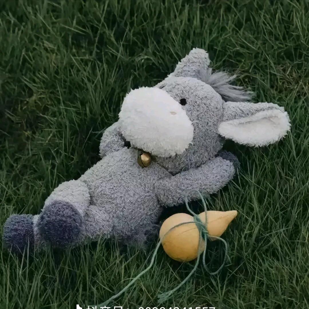 c罗