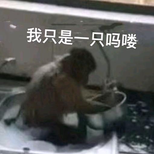 满山猴子 我腚最红