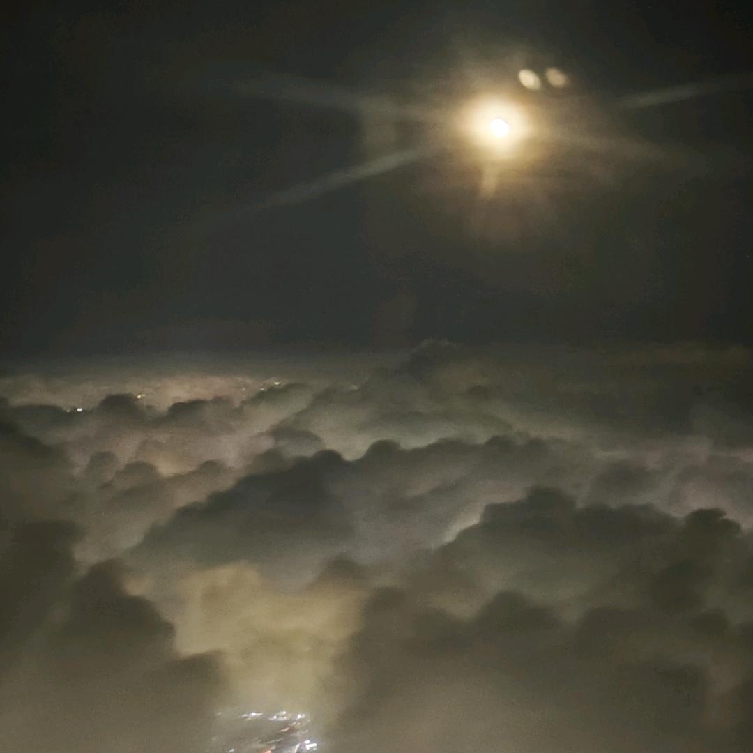 古月