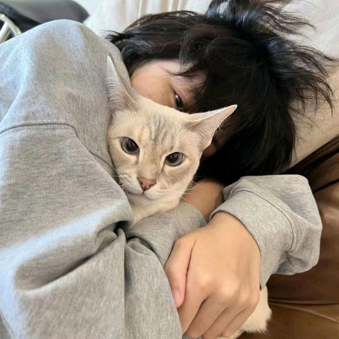 麦当劳皇帝