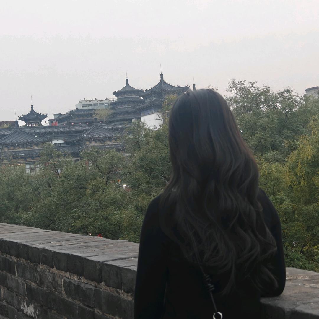 纯璞