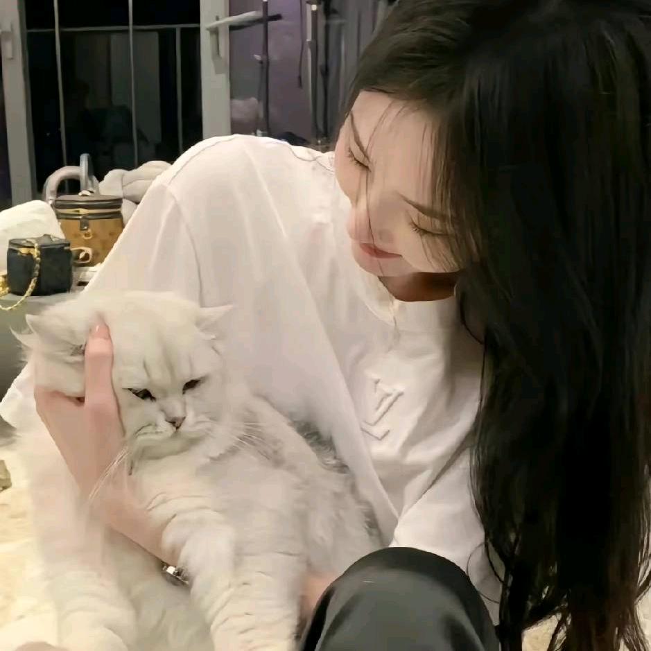 欣欣大王👑