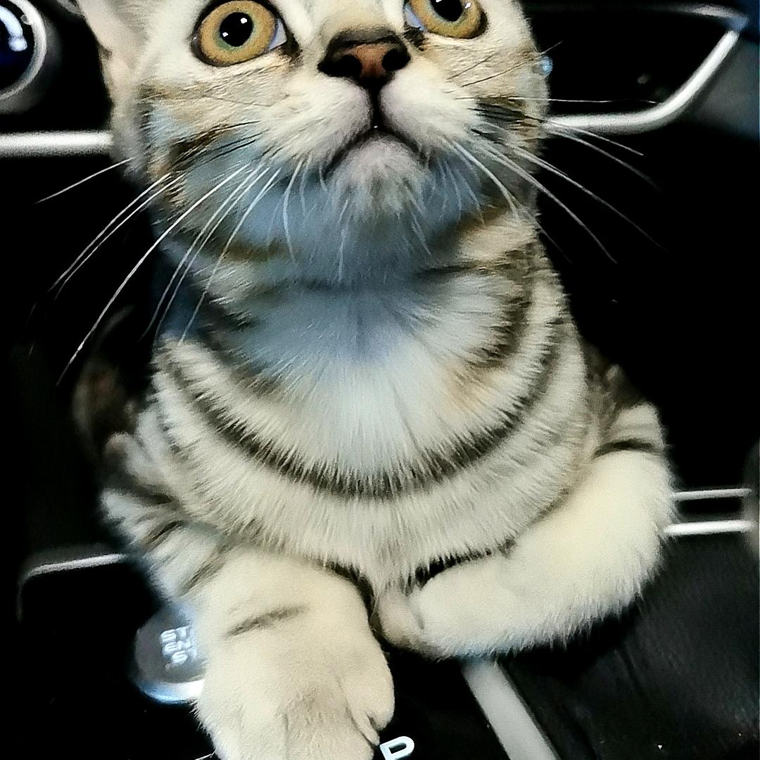 A  love จุ๊บ