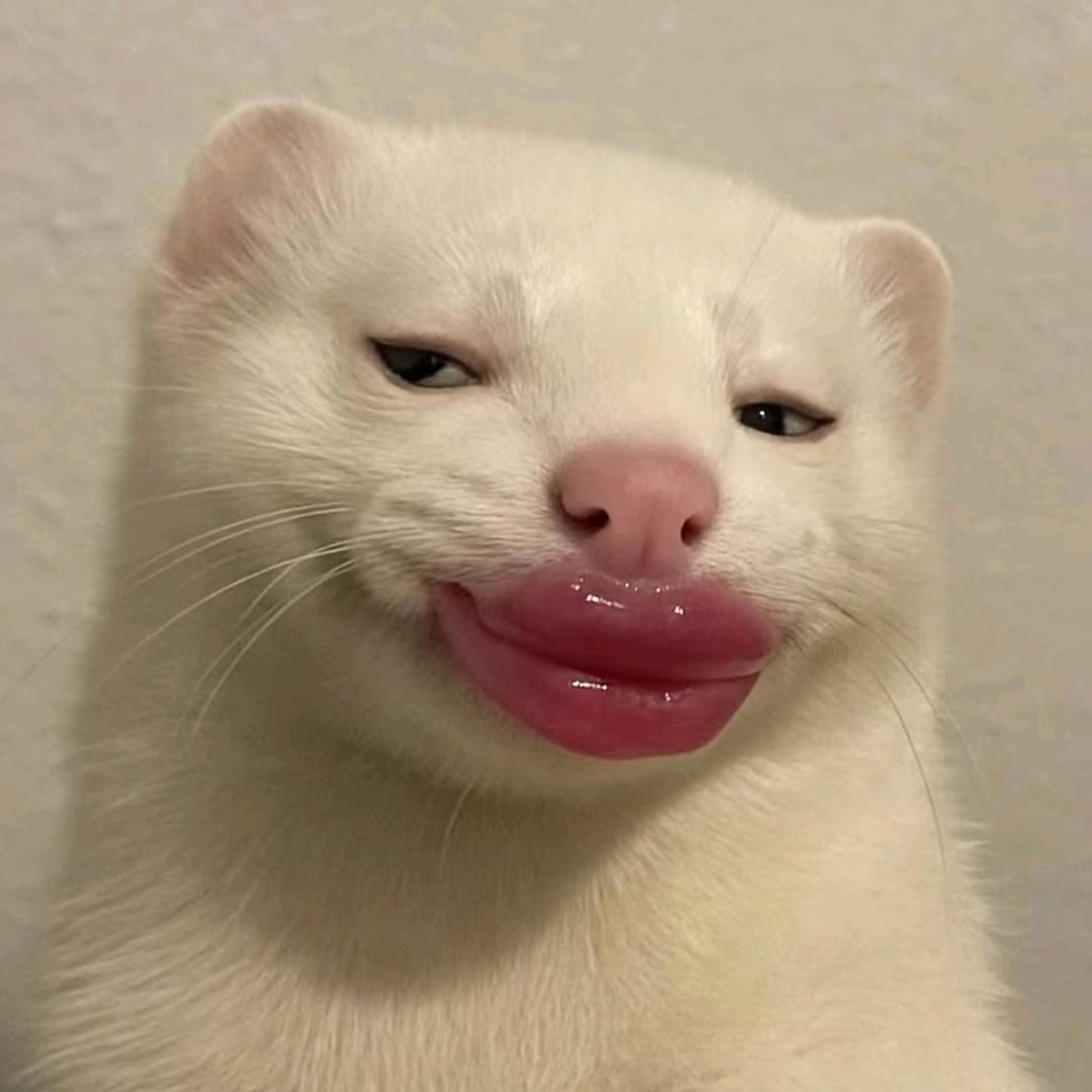 拾参