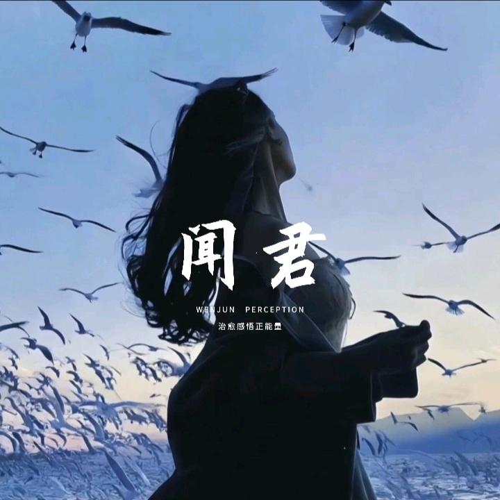 闻君感悟