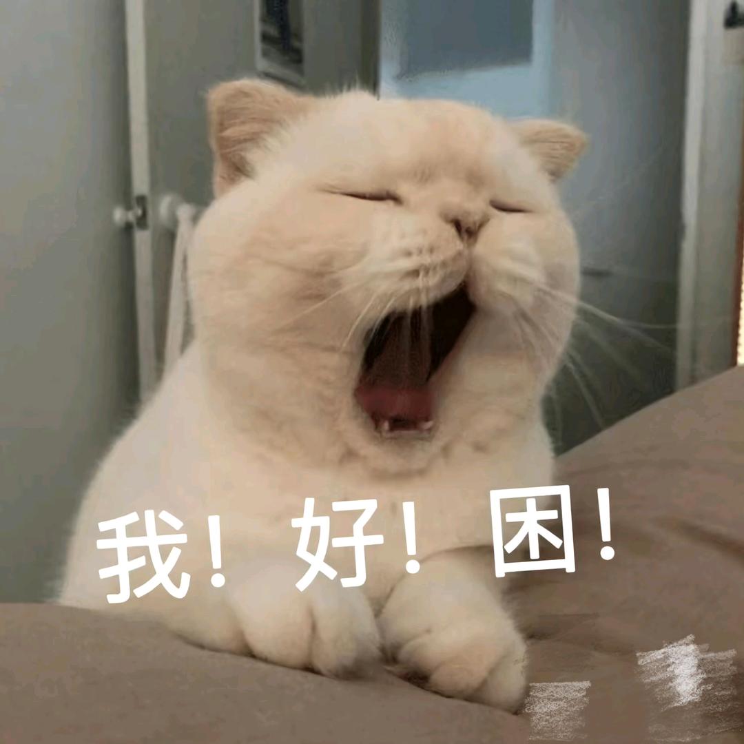 是木木夕啊