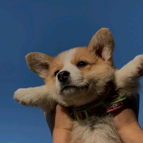 没有昵称@