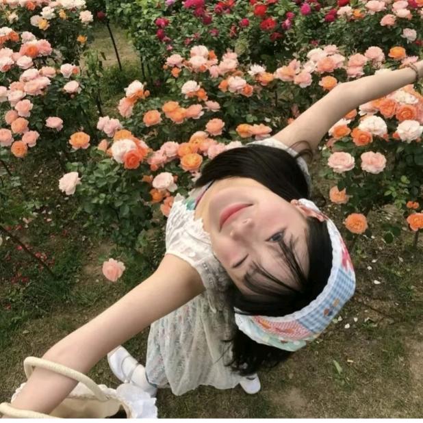 我与山茶花