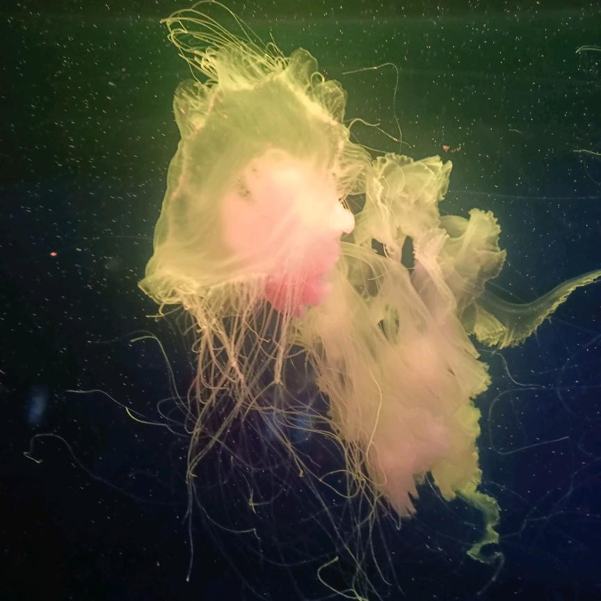 无名❤ (ɔˆз(ˆ⌣ˆc)