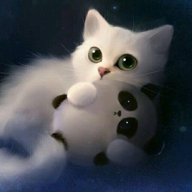 浅笑心柔