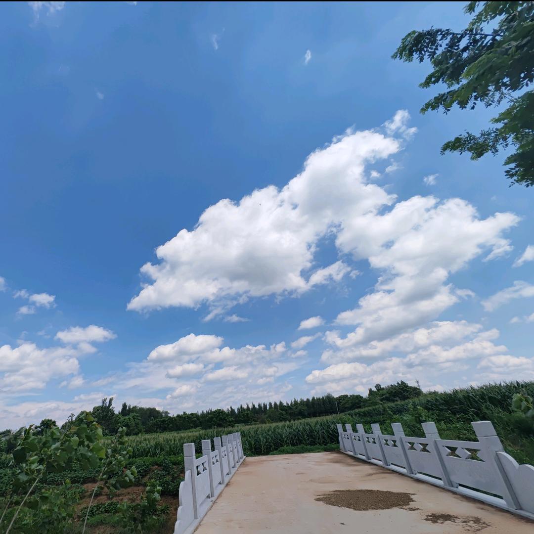 天狼