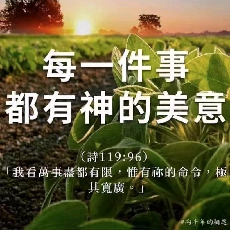 跨境电商  何城诚